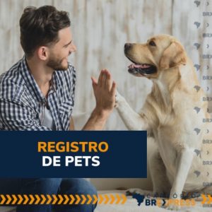 Cartorio BR Express 04